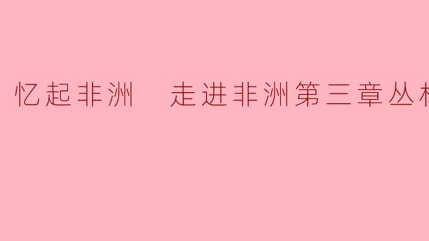 忆起非洲 走进非洲第三章丛林险境